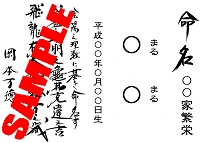 meimeisyo.gif